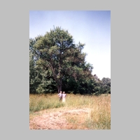 006-1022 Vor dem Kirschbaum im Kaelbergarten der Familie Quednau im Jahre 1992.jpg